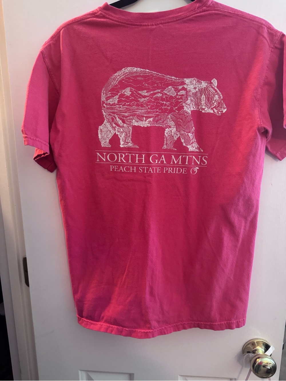 North GA Mtns Peach State Pride Adults  Graphic Tee Red Small